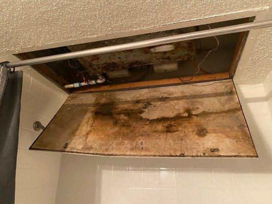 This is where the ac unit goes, water leaks, mold is growing, ceiling is soft.