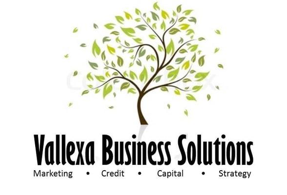 Vallexa Business Solutions