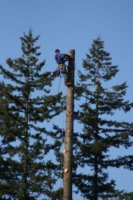 L & G Tree Service