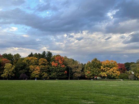 Large green space