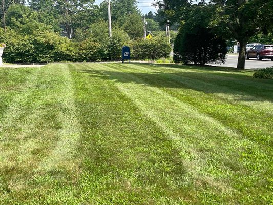 Lawn maintenance