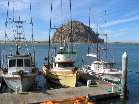 Fishing boats in Morro Bay