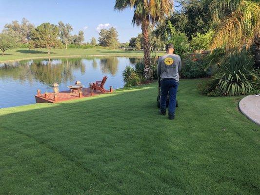 Here is a lawn that we do in Chandler!