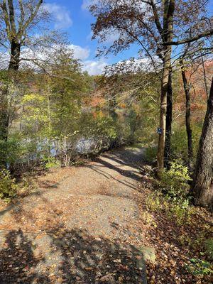 Start of the Frenchtown Park trail