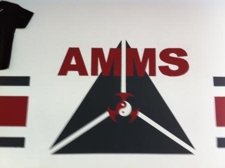 AMMS Boxing MMA Hawthorne, CA