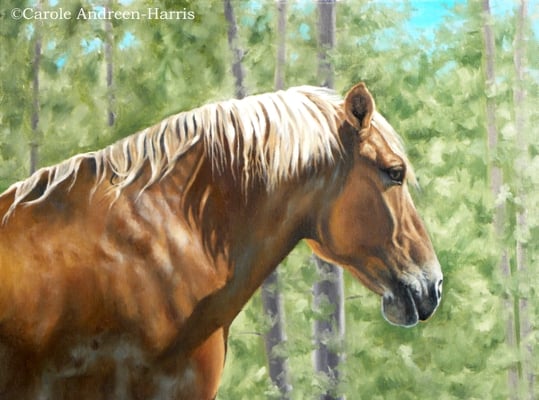 oil on canvas by Carole Andreen-Harris