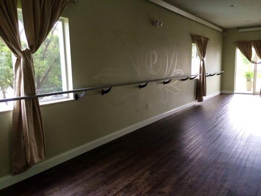 The studio wall with the Barre and the beautiful view!