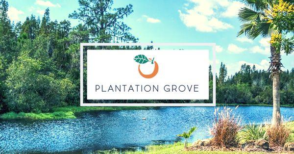 Plantation Grove