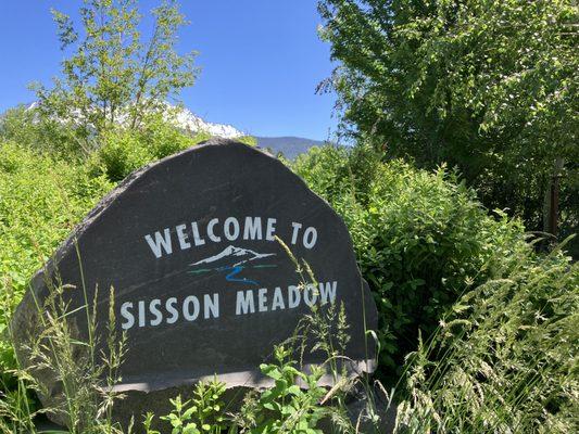 Sisson Meadow