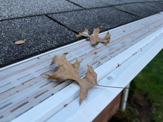 Our Top Rated MasterShield micro mesh gutter guards will keep out leaves, seed pods, and pine needles. Available in 13 colors + 100% copper.