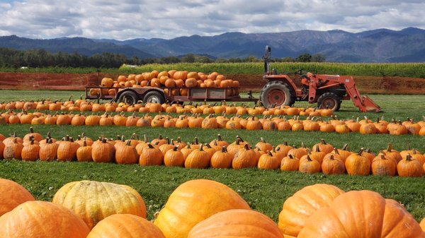 Fort Vannoy Farms