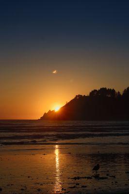 Short sand beach, Oregon