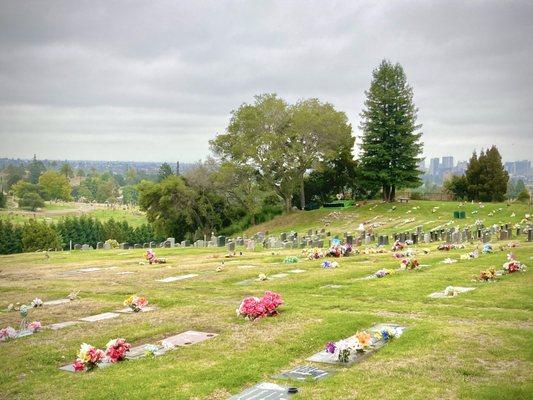 Outside views of the cemetery.