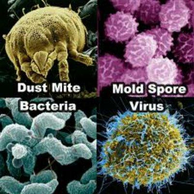 DUST MITES, MOLD, BACTERIA, VIRUS, PET DANDER TO LIST A FEW. ALL THESE CAN BE GROWING IN YOUR DUCT SYSTEM.