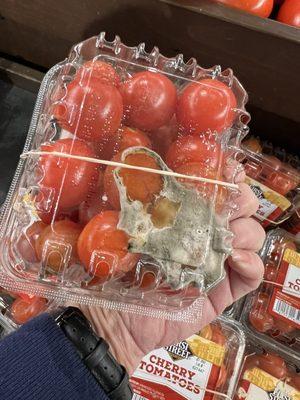 Oh look, same First Street cherry tomatoes & even worse mold. 01/17/24