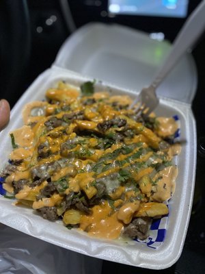 Carne asade fries