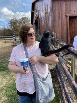 Here is Daisy playing on my friends shoulder