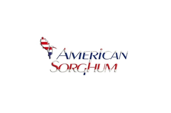 American Sorghum