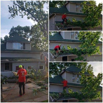 Storm damage