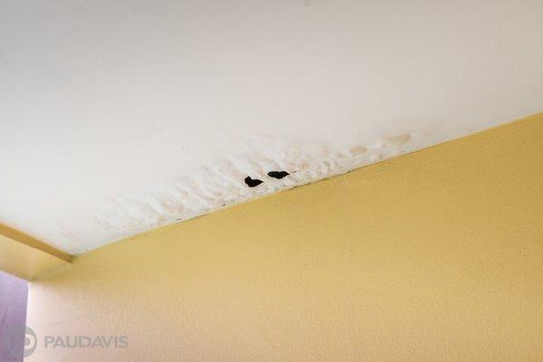 Signs of water damage in a ceiling