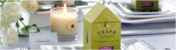 Trapp jar candle and melts.