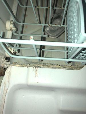 Inside of dishwasher. Landlord claims he inspected this