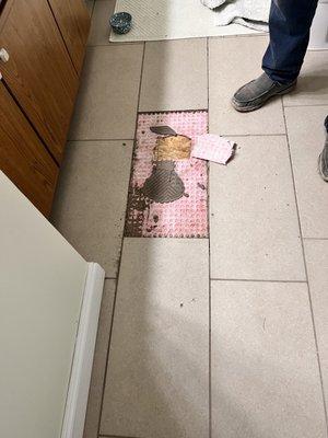 Shows he didn't use any mortar, only grout and he just plopped it down without spreading evenly across