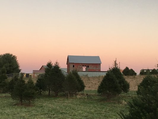 The lovely old barn