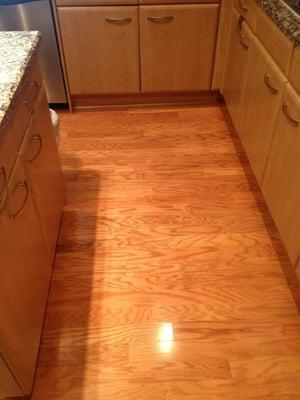 New wood floors installed in kitchen