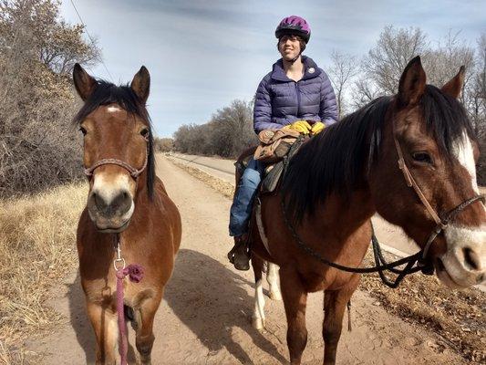 Pony and Henri out on the ditch!