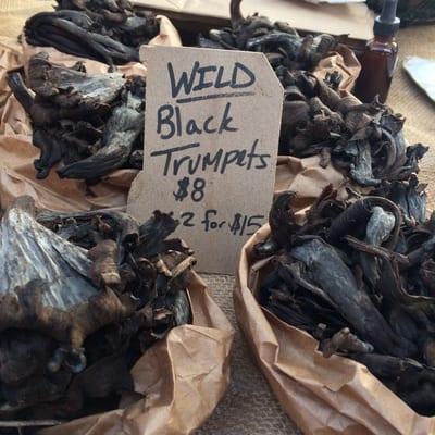 Wild black trumpets-"really foresty-woodsy taste"