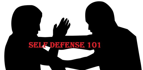 Self Defense 101 is our customizable introductory self defense course. Contact us for more info.