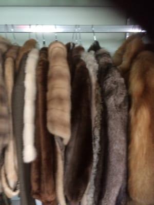 Mink, fox or beaver we have it!
 $50-$500