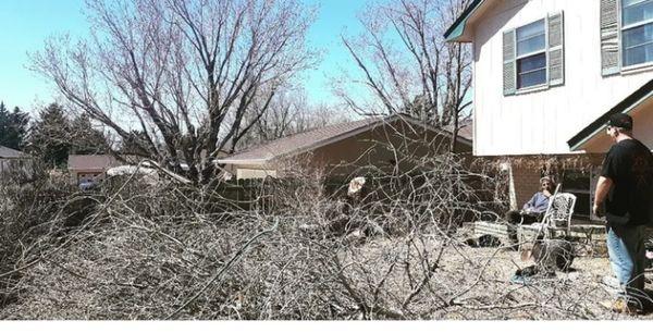 Stubborn Chinese elm that was scratching the kids window, and draped over the neighbors