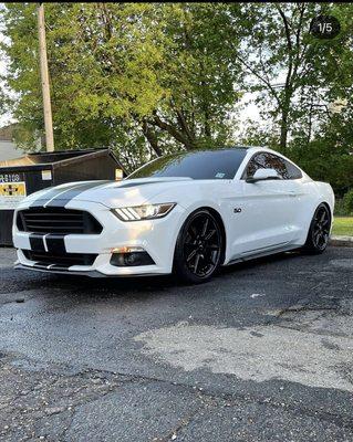 This Mustang Recieved Our Exterior Detail.