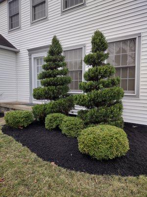 Precise trimming and mulching for stunning curb appeal