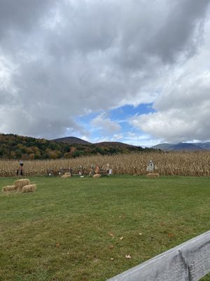 Corn Maze off the path.