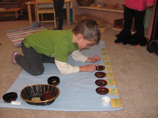 Glenwood Springs Montessori