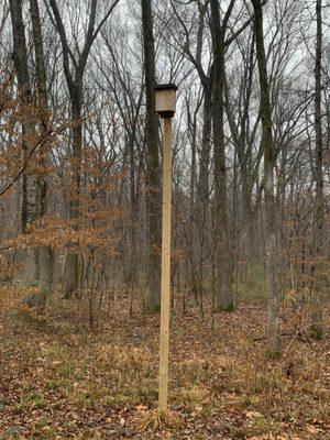 Wolf River Greenway - Kennedy Park