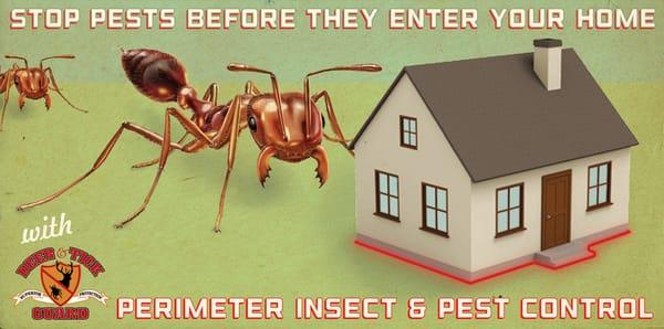 Perimeter Pest Control - Stop pests before they enter your home.