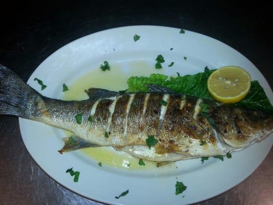 Grilled Mediterranean sea bass