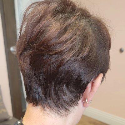 Back view of a pixie cut with a soft taper and wispy neckline