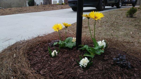 Flower installation