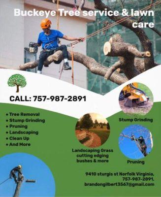 Buckeye Tree Service And Lawn Care