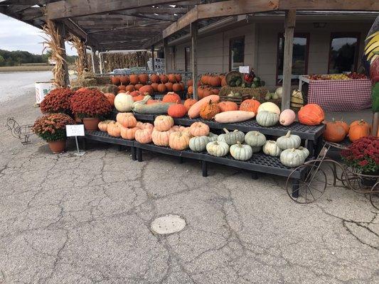 Gourds