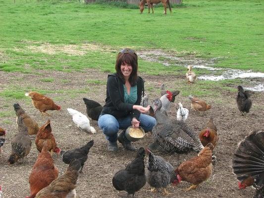 Ranch Hag Hens