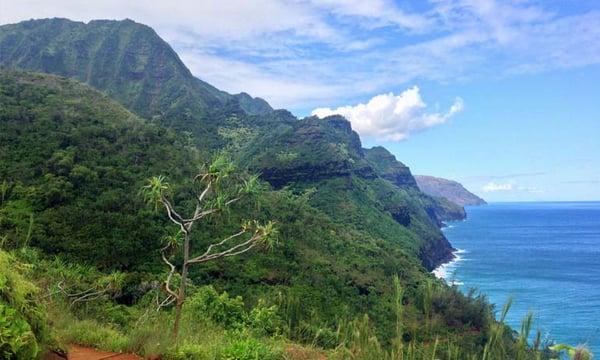 The Na Pali coast while hiking on The Wild Traveler's teen tour to Hawaii.