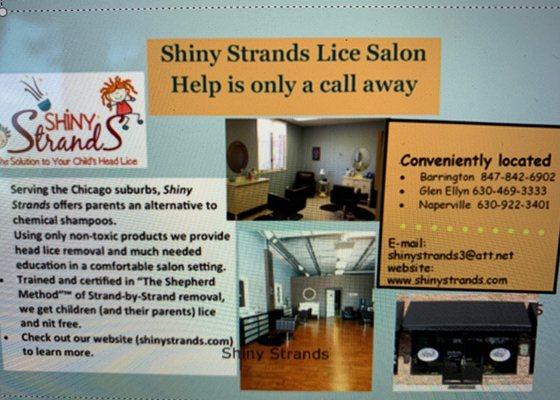 Our Shiny Strands Brochure.