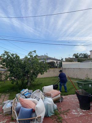 Backyard clean up