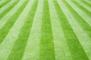 Lawn Care Services in Middleton WI and the Westside of Madison, WI